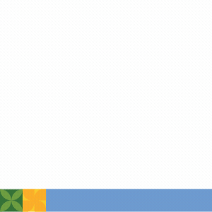 300x300 banner web